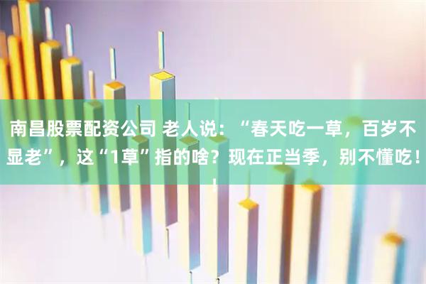 南昌股票配资公司 老人说：“春天吃一草，百岁不显老”，这“1草”指的啥？现在正当季，别不懂吃！